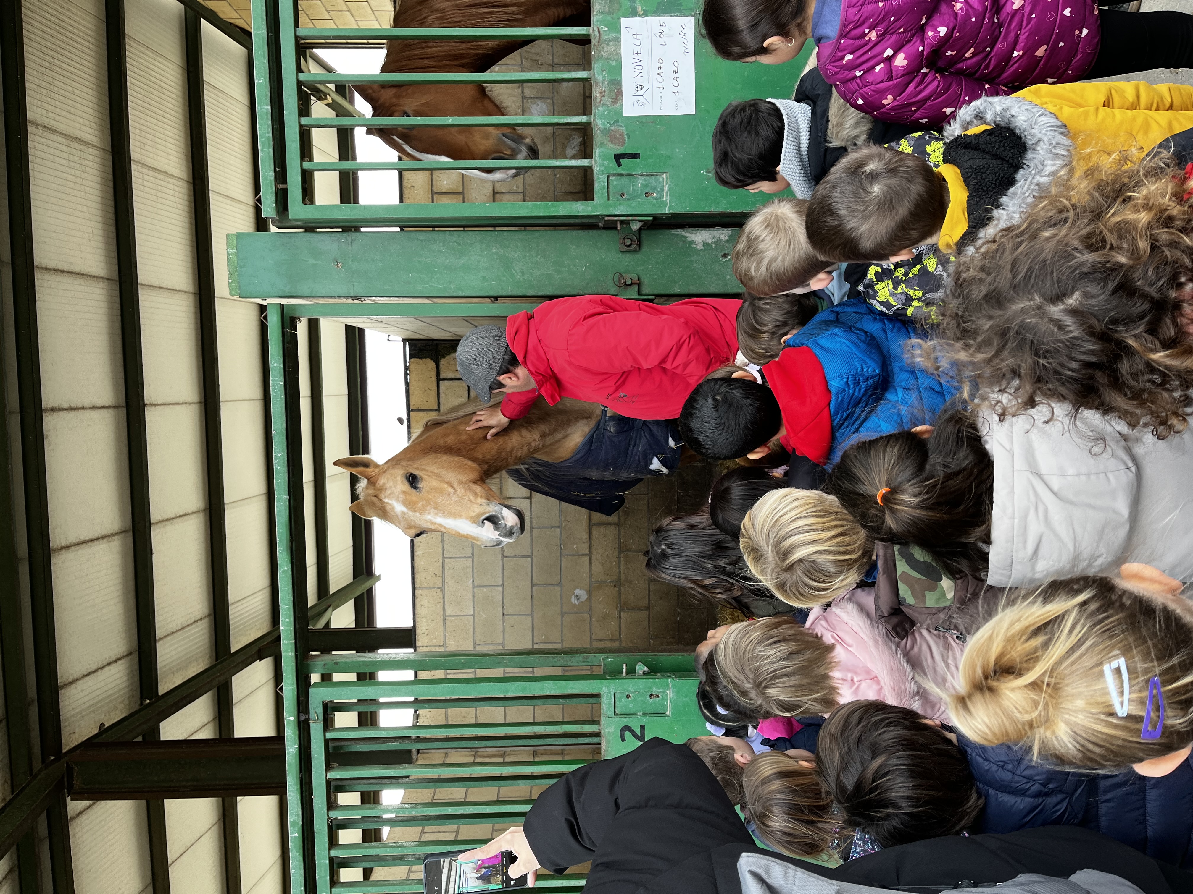 ¡Un día entre relinchos! Nuestra visita a la Hípica Zahorí